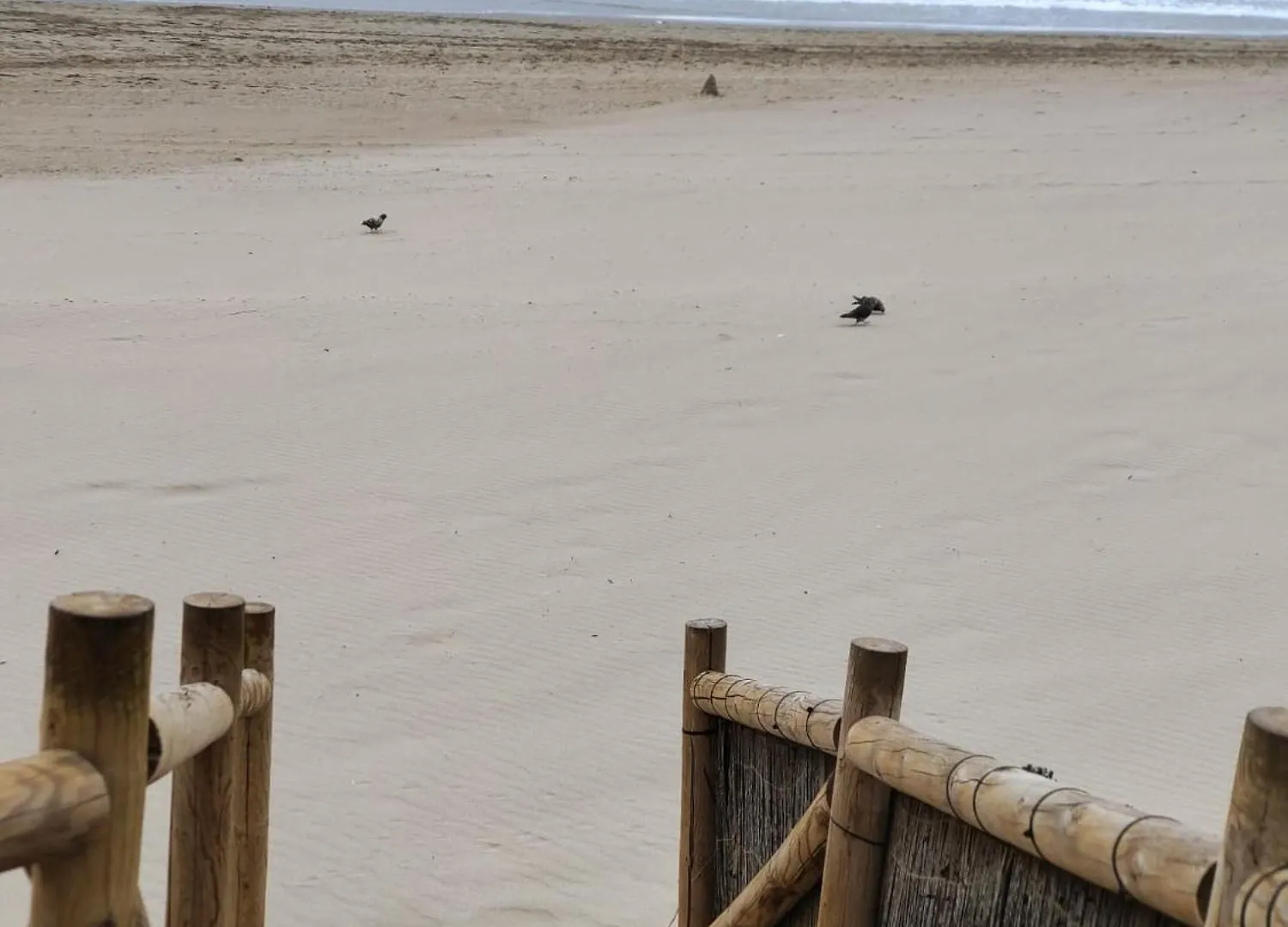 شقة Casita De La Playa En Cabopino ماربيا