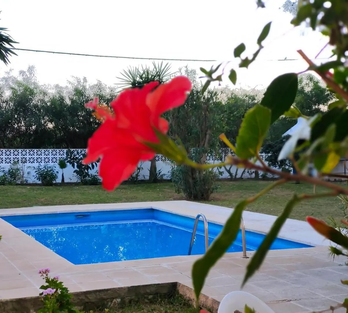 Casita De La Playa En Cabopino Apartment Marbella