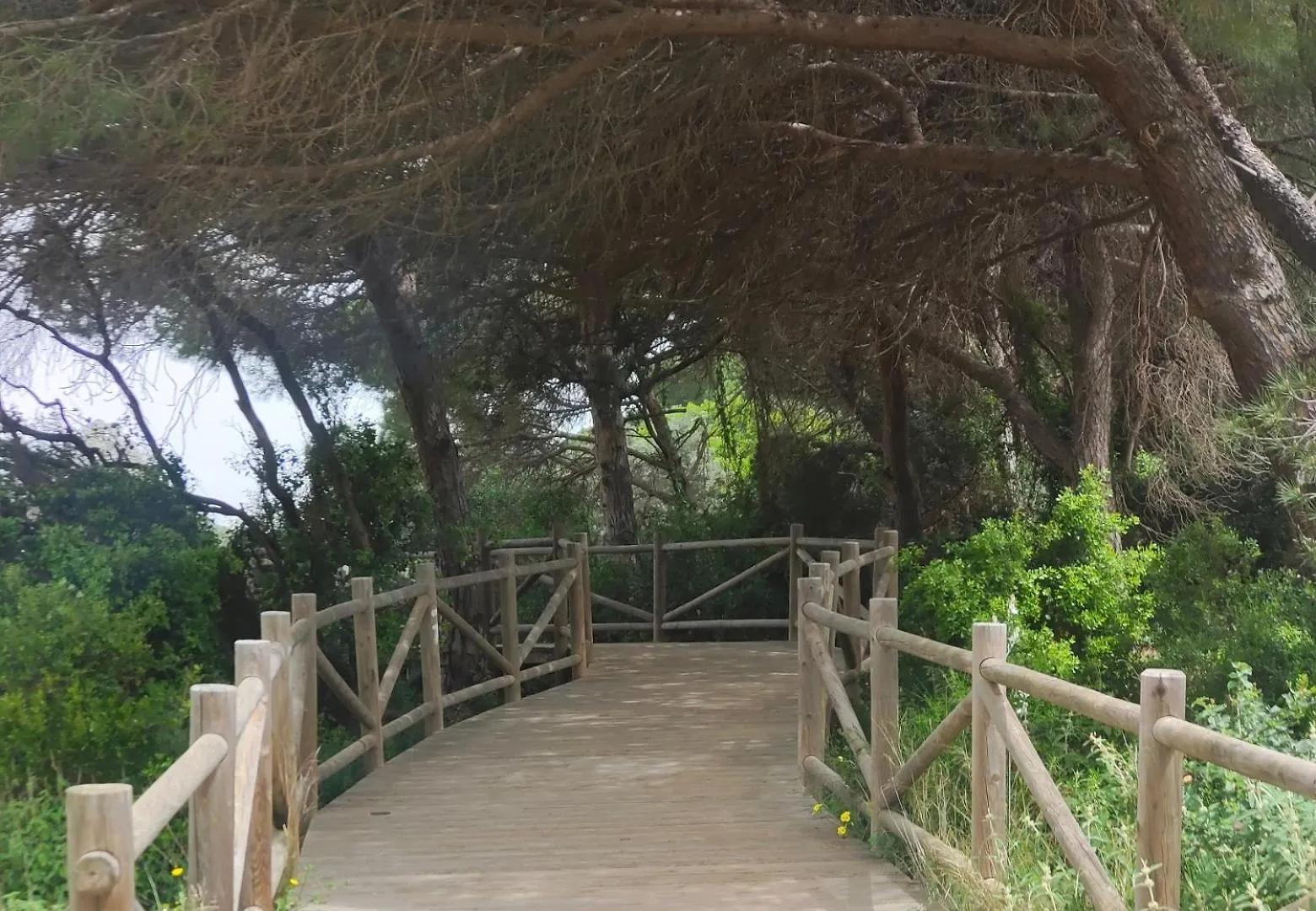 Casita De La Playa En Cabopino Apartment Marbella 0*,  Spain